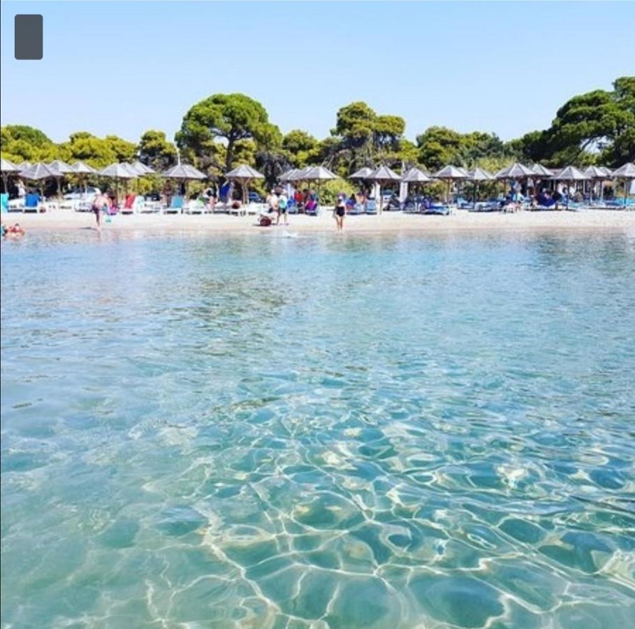 Athens Villa Artemis Pool Sea Airport Esterno foto
