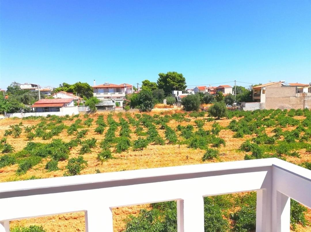 Athens Villa Artemis Pool Sea Airport Esterno foto